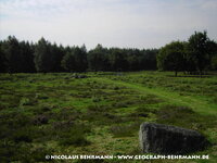 Glaner_Braut_Heide.jpg