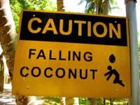 coconut-sign2.jpg