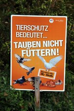 Tauben_fuettern_verboten_01.jpg