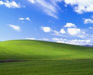 Windows_XP_Wiese_Bliss.jpg