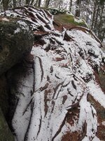 der GroÃŸe Schalenstein- ganz oben die Schale.jpg