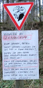 geier.. (2).JPG