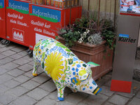 Nördlingen,Schwein2.jpg