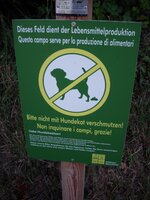 hund1.jpg