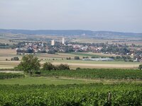 Weinwanderweg Wetzdorf 034.jpg