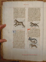 Codex_125_fol_9v_01.JPG