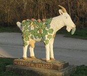 Ruine Falkenberg - Engabrunner Heide 067.jpg