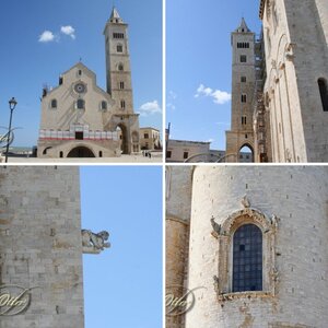 Trani