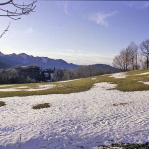 Jungscharalm, Losenstein