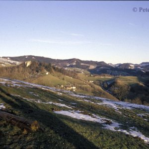 JUngscharalm, Losenstein