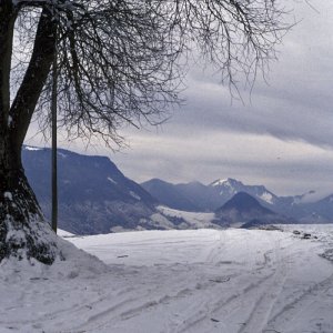 Jungscharalm, Losenstein