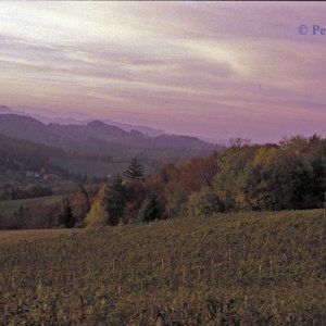 Steirische Weinstrasse