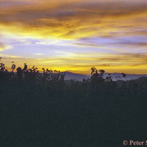 Anbenddämmerung in der Südsteiermark