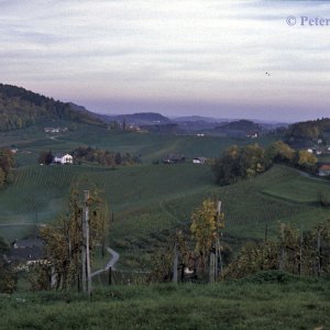 Steirische Weinstrasse, Südsteiermark