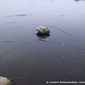 Die Nutzung der Oberflächenspannung