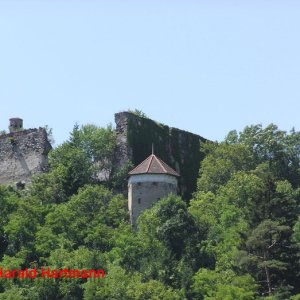 Ruine Mollenburg