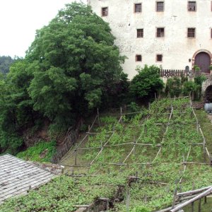 der versoaln in prissian (südtirol) 1/4