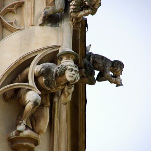 schloss grafenegg, niederösterreich