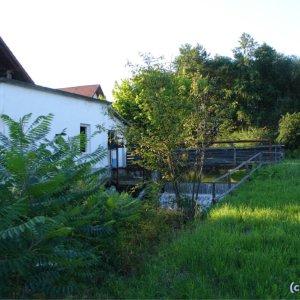 Weinseißmühle