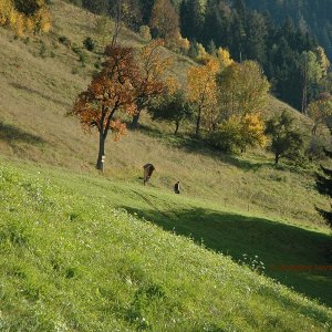 Wanderer Höpperg