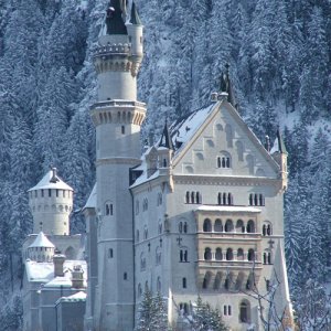 Schloss Neuschwanstein im Winterkleid