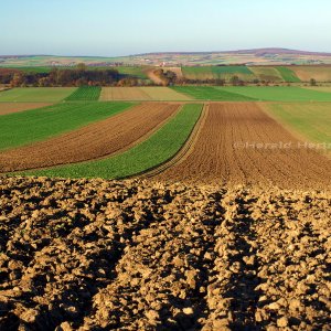 Weinviertler Herbst