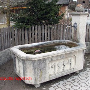 brunnen in zein