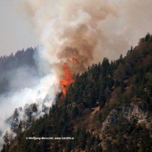 Waldbrand Innsbruck