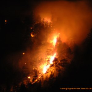 Waldbrand Innsbruck 6