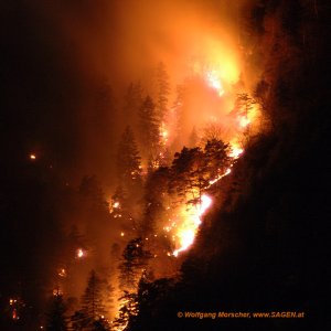 Waldbrand Innsbruck 7