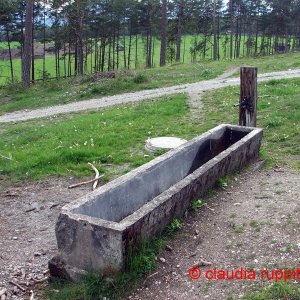 brunnen in wildermieming