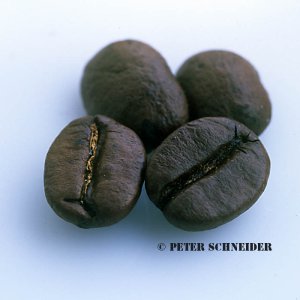 Arabica Bohnen