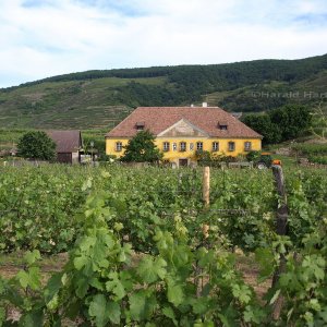 Winzerhaus