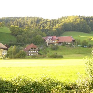 Scherzinger und Bühler-Hof in Welschensteinach