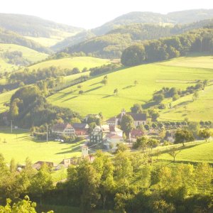 Welschensteinach Blick Richtung Geisberg-Mühlsbach