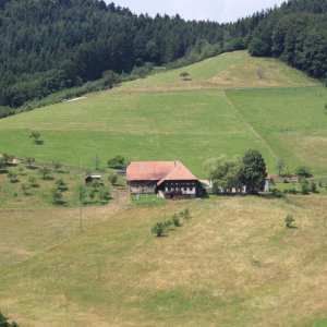 Hinterschirmeierhof in Welschensteinach