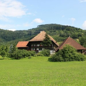 Gassenwirtshof in Welschensteinach