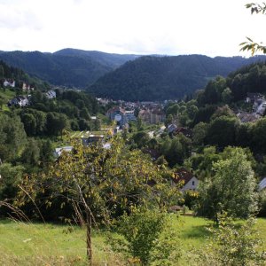 Die 5 Tälerstadt Schramberg im Schwarzwald