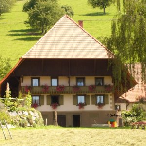 Halderhof in Welschensteinach