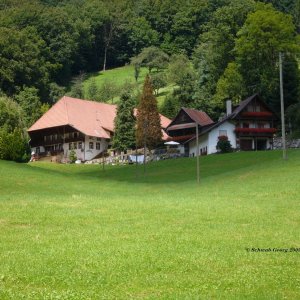 Heidenbauernhof in Welschensteinach