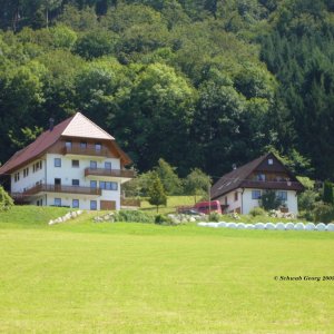 Linkenbauernhof in Welschensteinach