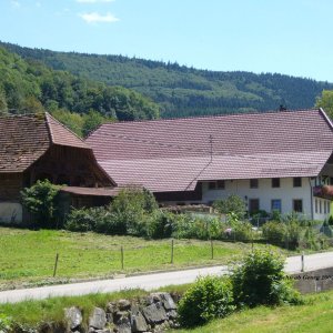 Rufenhof in Welschensteinach