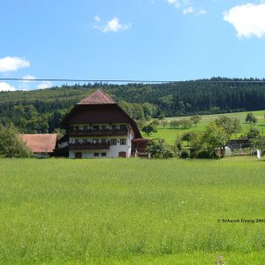 Schwabenhof in Welschensteinach