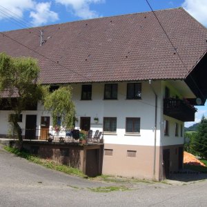 Ambsenhof in Welschensteinach