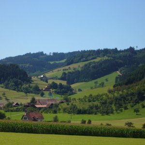 Blick Richtung Elmighof in Welschensteinach