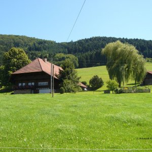 Vollmerhof in Welschensteinach 02