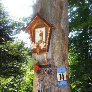 Am Weg zur Arzler Alm