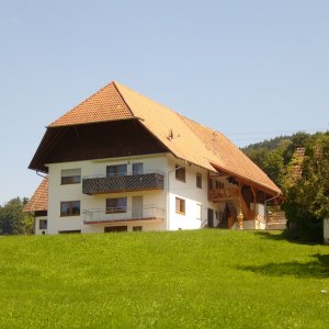 Vorderer Mellertshof in Welschensteinach