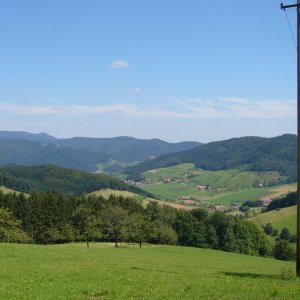 Blick vons Holzersbühl in Richtung Steinach