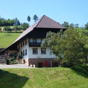 Elmighof in Welschensteinach